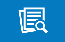 Audit Icon